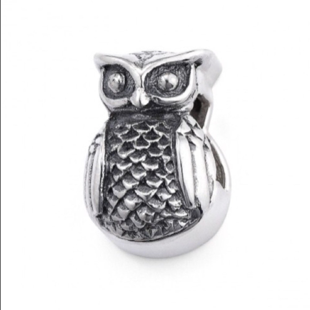 Sterling Silver Charm